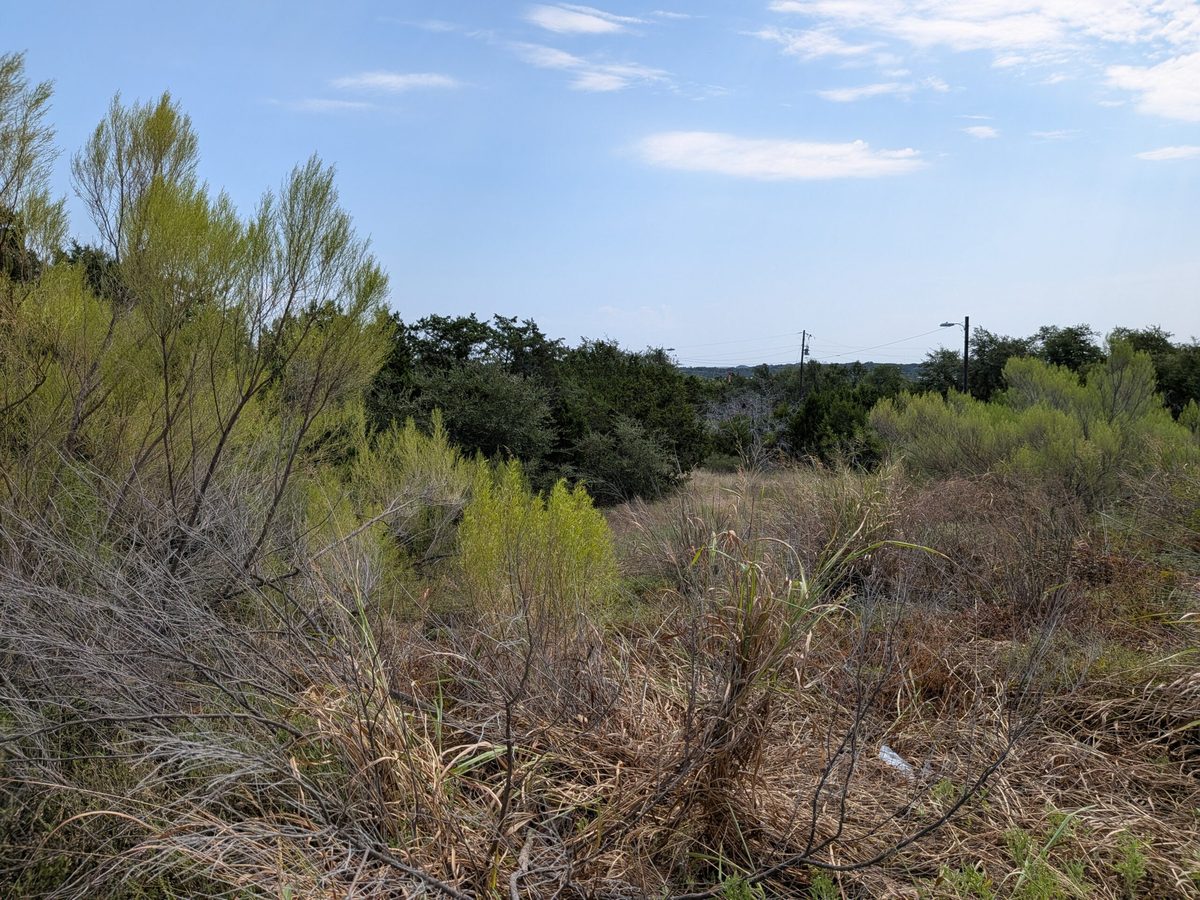 The 1.27-acre hilltop pad site at Southwest Center before clearing